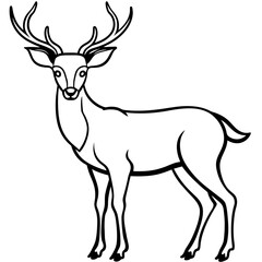       Deer  vector illustration style.
