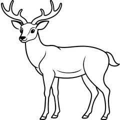       Deer vector illustration style.

