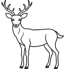       Deer vector illustration style.
