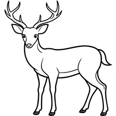       Deer vector illustration style.
