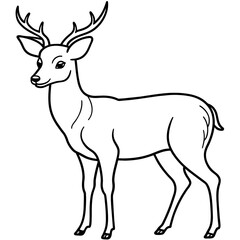       Deer  vector illustration style.
