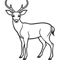       Deer vector illustration style.
