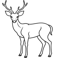 Fototapeta premium Deer vector illustration style. 