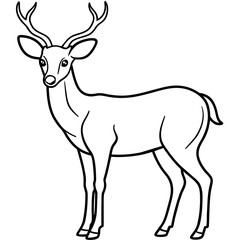       Deer vector illustration style.
