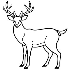 Fototapeta premium Deer vector illustration style. 