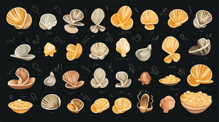 Shells pasta vector chalk icon. Dough seashells. Tr