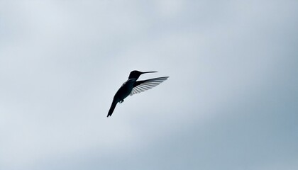 Obraz premium The minimalist sketch of a hummingbird in mid-flight, captured with a few simple lines against a sky-blue background, emphasizing speed and freedom