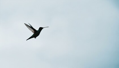Fototapeta premium The minimalist sketch of a hummingbird in mid-flight, captured with a few simple lines against a sky-blue background, emphasizing speed and freedom
