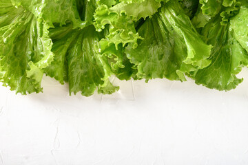 Fresh home-grown green lettuce salad leaves on white background. View from above. Home-grown organic product.