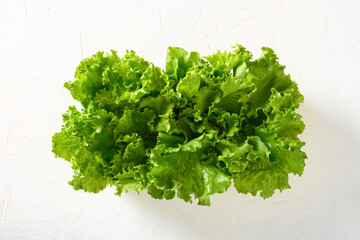 Fresh home-grown green lettuce salad leaves isolated on white background. View from above.
