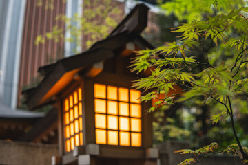Light of Japanese shrines - obrazy, fototapety, plakaty
