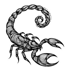 Linear abstract scorpion drawing for tattoo. 
