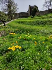 Obraz premium Barockgärten von Schloss Blankenburg