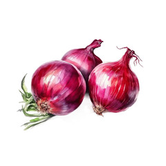 Illustration watercolor of red onion, on transparent background with png file. Cut out background.