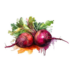 Illustration watercolor vegetable beetroot, on transparent background with png file. Cut out background.
