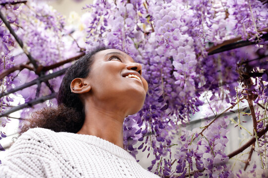 An African American woman is fully surprised with the beauty of the purple wisteria flower in the square metal garden arch