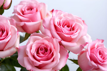 Obraz premium bouquet of roses, Generative AI