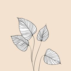 Botanical arts. Hand drawn continuous line drawing of abstract tropical leaves.Illustration for prints, wall paintings, covers and invitation cards - 782139112