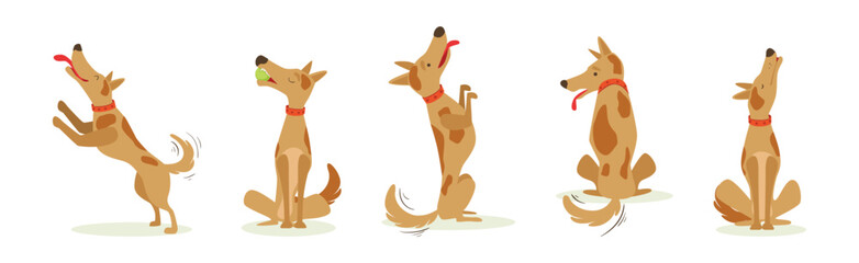 Funny Dog Domestic Pet and Animal in Different Pose Vector Set