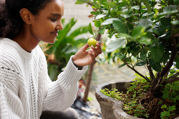 A pretty and smiley African American woman is holding a ripe lemon on it's branch in the garden