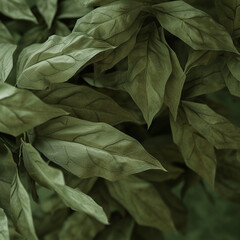 Green leaves close-up with the effect of processing texture large foliage nature dark green background