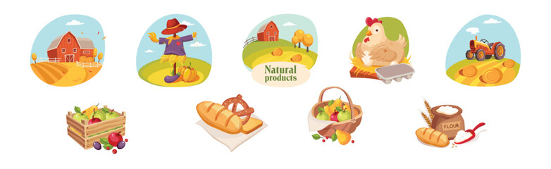 Farm Natural Product and Organic Produce Object Vector Set - 782142301