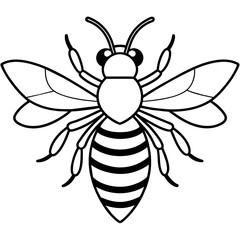           Asian giant hornet bee vector illustration.
