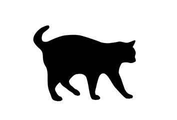 The silhouette of a walking cat. Vector illustration.