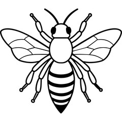           Asian giant hornet bee vector illustration.
