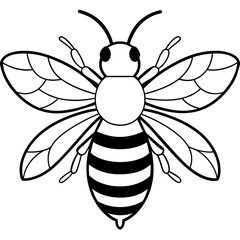           Asian giant hornet bee vector illustration.
