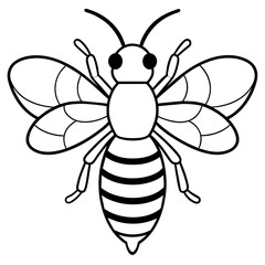           Asian giant hornet bee vector illustration.
