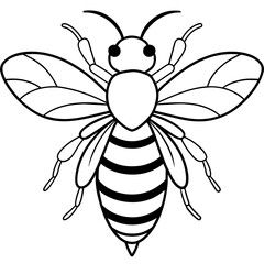           Asian giant hornet bee vector illustration.
