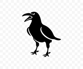 Black raven stands on the ground, graphic design. Crow, bird, animal, nature and wildlife, vector design and illustration