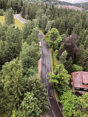 road in the forest seen from a bird's eye view