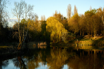 Spring park at sunset: reflections of trees, willows, blossom, and young green shoots in the water. Enchanting evening nature, relaxation, tranquility, landscape design, scenery, spring, lake, sunset