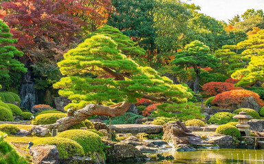 Bonsai, Japanischen Garten, Japan