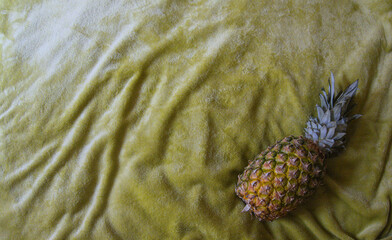 Ripe pineapple on green fluffy blanket with copy free space for text as tropical exotic background