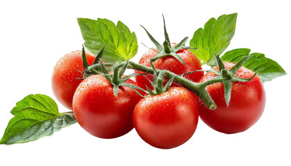 Transparent Fresh Tomato red and leaf PNG  