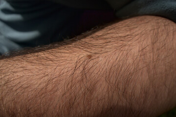 Hairy hand, arm in sun light, body hair close up in sun light in detail