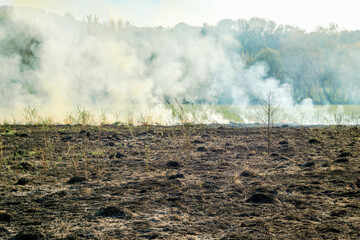 Dry grass is burning on a meadow in the countryside. A wild fire burns dry grass in a field. Orange...