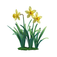 Yellow flowers in green pot on transparent Background