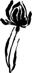 Dry Bruch Grunge Poppy Flower Silhouette - 782163990