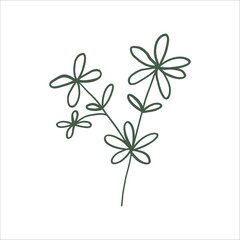 Cute Branch vector illustration. Hand drawn plant clipart. For thematic designs, stickers, patterns. Floral elements illustration isolated on white background.