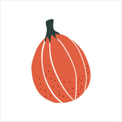 Pumpkin vector clipart. Cute hand drawn pumkin illustration. For thematic designs, stickers, patterns. Autumn Thanksgiving food illustration isolated on white background