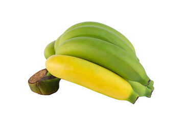 A half-ripe bunch of cavendish bananas isolated on a white background included clipping path.