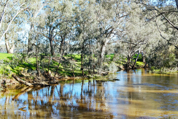 Campaspe River in Axedale in Australia