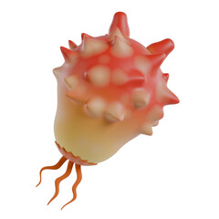 ホヤの3Dイラスト