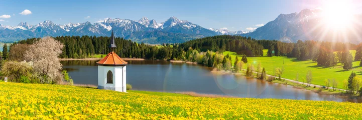Foto op Plexiglas  Panoramic photo of rural landscape in the Allgäu in Bavaria © Wolfilser