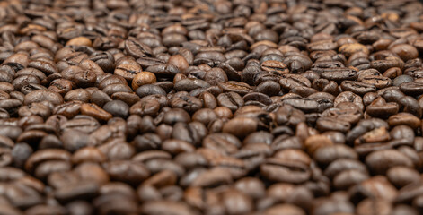 background coffee beans on warm light