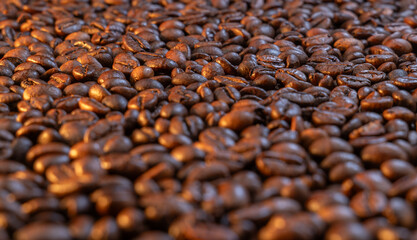background coffee beans on warm light